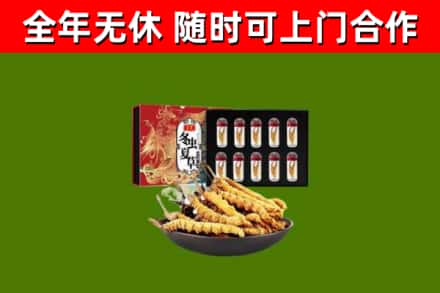 威海回收冬虫夏草价格